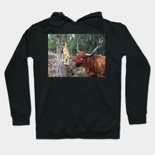 Scottish Highland Cattle Cow and Easter eggs 2350 Hoodie